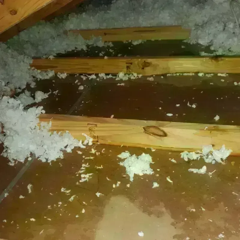 Attic Water Damage in Iuka, MS